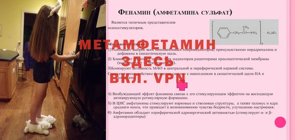 прущие грибы Горно-Алтайск