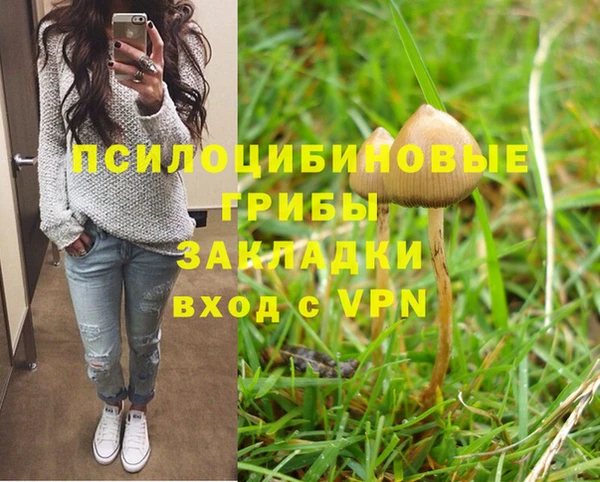твердый Няндома